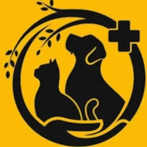 استخدام نیروی خانم